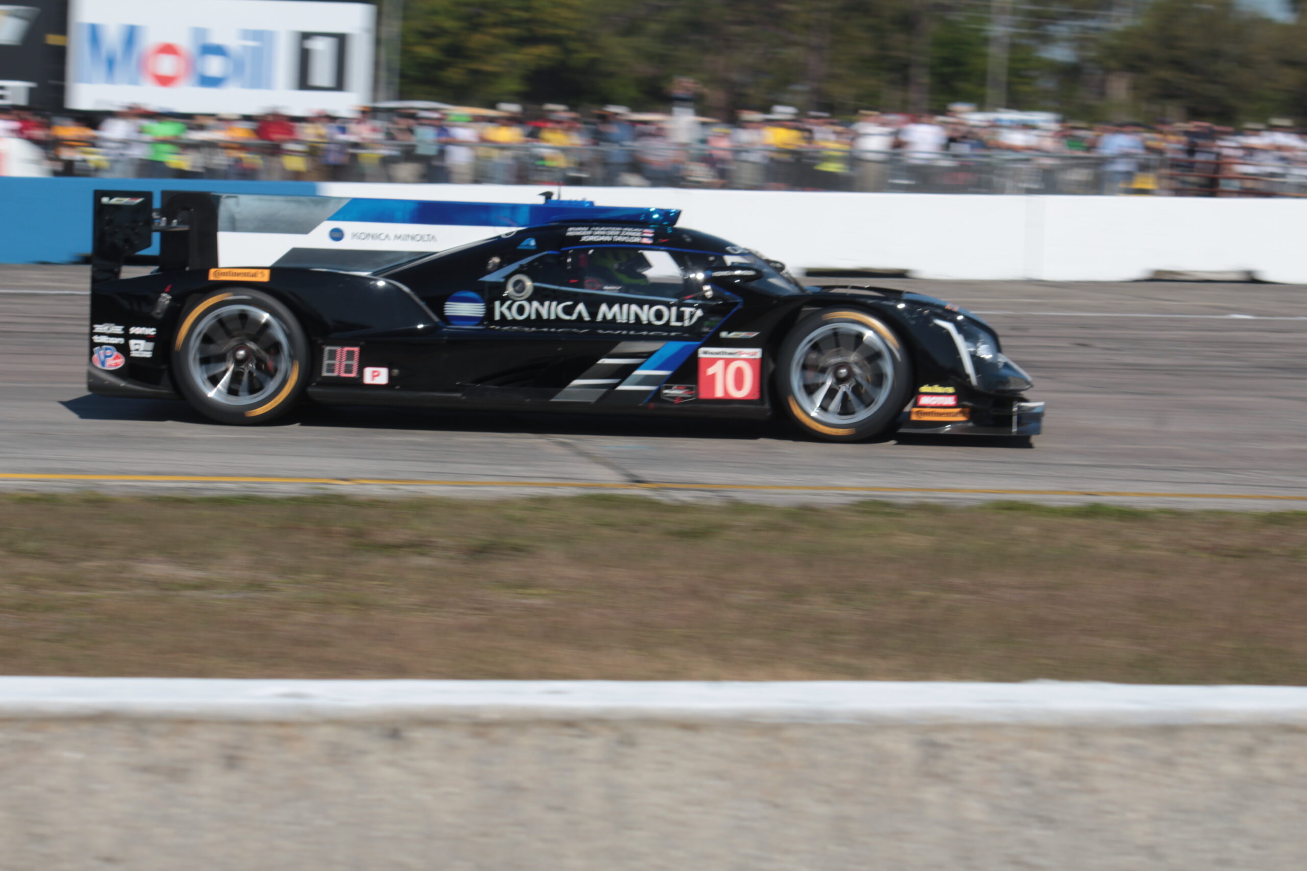 Magic Twelve Hours at Sebring Pure Thunder Racing